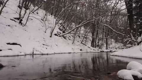 Winter river with snow and forest Stock Footage 148442294