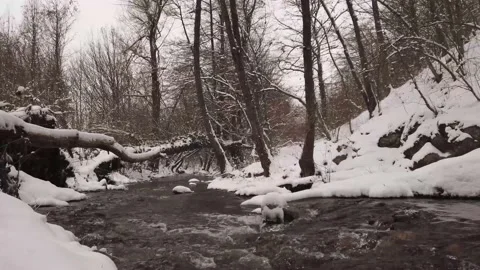 Winter river with snow and forest Stock Footage 148442298