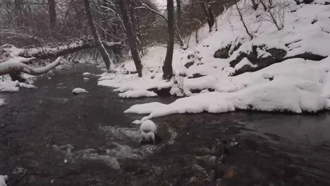 Winter river with snow and forest Stock Footage 148442320