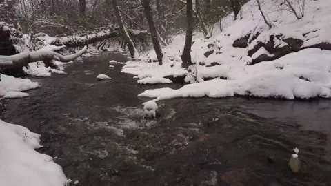 Winter river with snow and forest Stock Footage 148442331