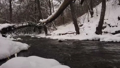 Winter river with snow and forest Stock Footage 148442362