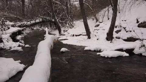 Winter river with snow and forest Stock Footage 148442392