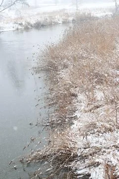 Winter river in snow Stock Photos