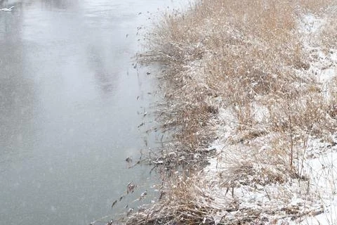Winter river in snow Stock-Fotos