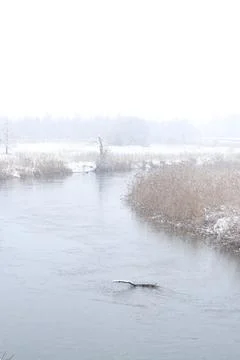 Winter river in snow Stock Photos