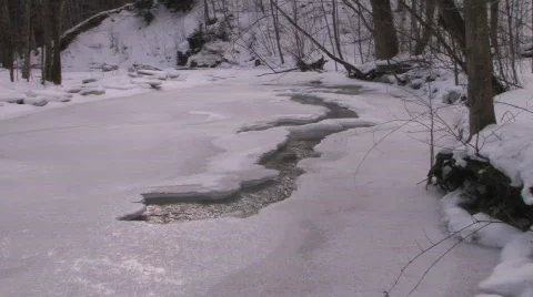 Winter River: Sunlight Through the Trees 2 Video stock 647780