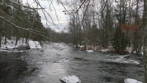 Winter river surrounded by forests Stock Footage 293693396