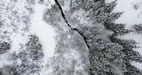 Winter River Top View Aerial With Trees Next To It Stock Footage 84999438