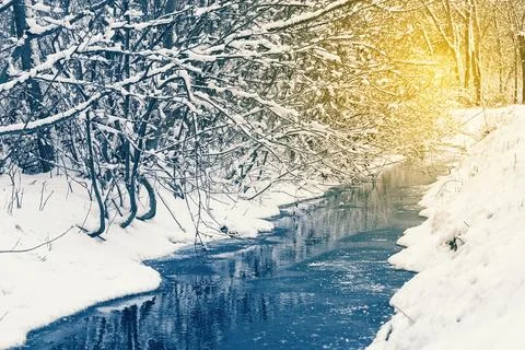 Winter river under trees covered with snow Stock Photos