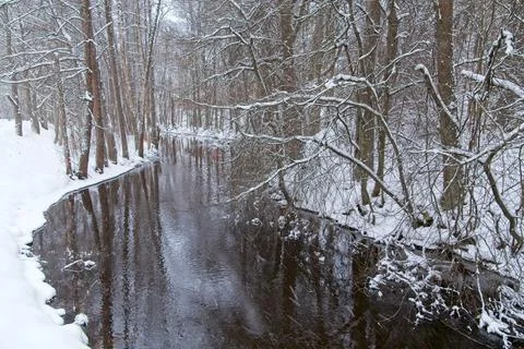 Winter river view. Stock Photos