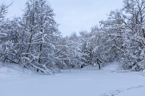 Winter river in the wild Stock Photos