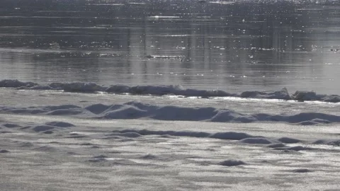 Winter riverbank Stock Footage 149218141