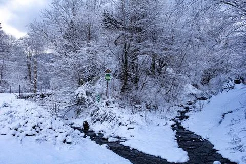 A winter rivers in forest, trees covered in fresh fluffy snow Stock Photos