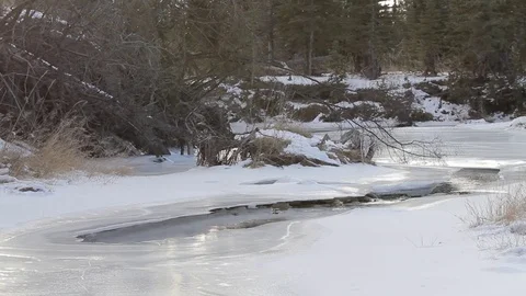Winter Riverside Stock-Footage 79576773