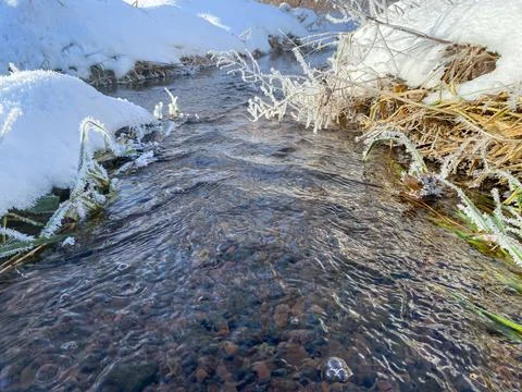 Winter riverside scenery Stock Photos