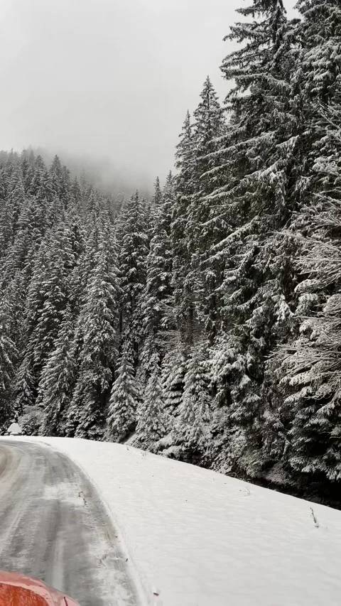 Winter road 1 Video stock 224701349