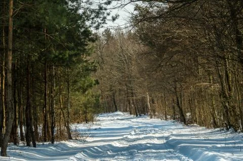 Winter road 2 Stock Photos