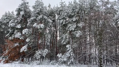 Winter road 3 Stock Footage 288372385