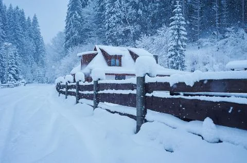 Winter road after the snowfall Stock Photos