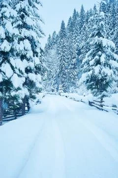 Winter road after the snowfall Stock Photos