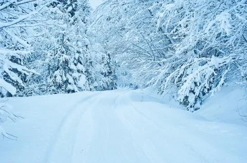 Winter road after the snowfall Stock-Fotos
