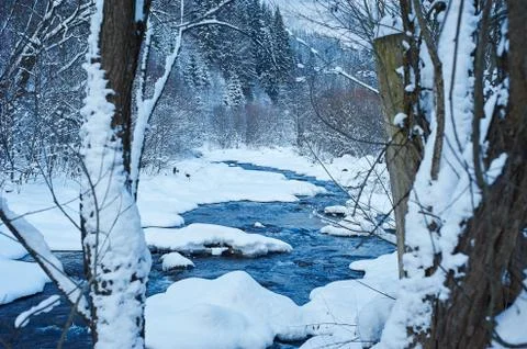 Winter road after the snowfall 写真素材