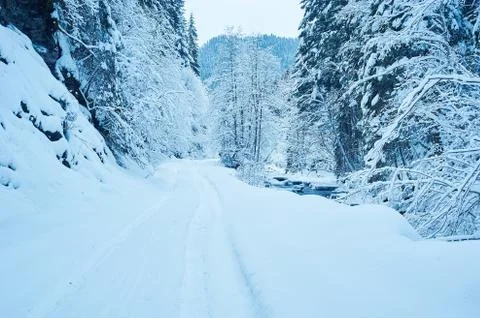Winter road after the snowfall 写真素材