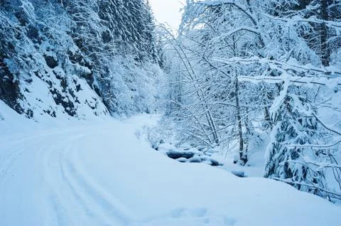 Winter road after the snowfall Stock-Fotos
