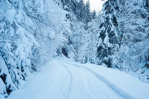 Winter road after the snowfall 写真素材