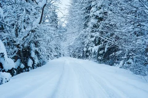 Winter road after the snowfall Stock Photos