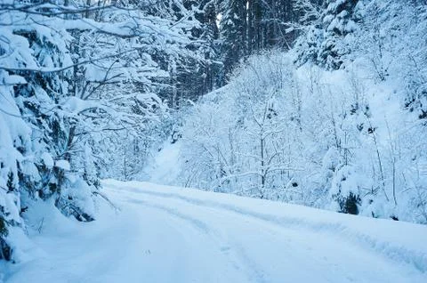 Winter road after the snowfall Stock Photos