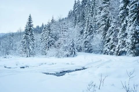 Winter road after the snowfall 스톡 사진