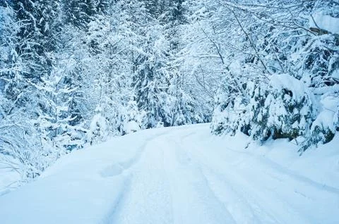 Winter road after the snowfall Fotos Stock