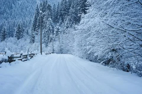 Winter road after the snowfall 写真素材