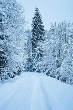 Winter road after the snowfall Stock Photos