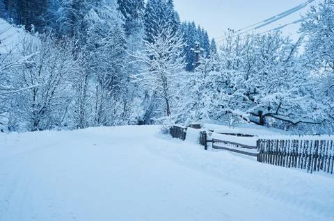 Winter road after the snowfall Stock Photos