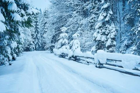 Winter road after the snowfall 写真素材
