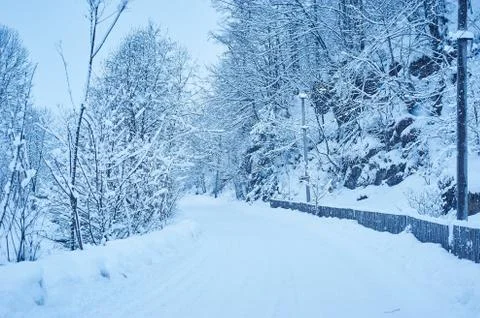 Winter road after the snowfall Stock Photos