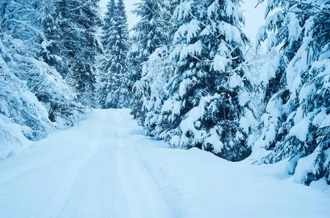 Winter road after the snowfall 写真素材