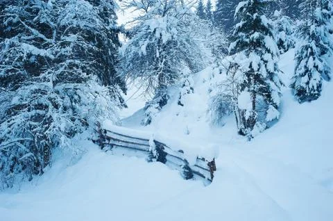 Winter road after the snowfall 写真素材