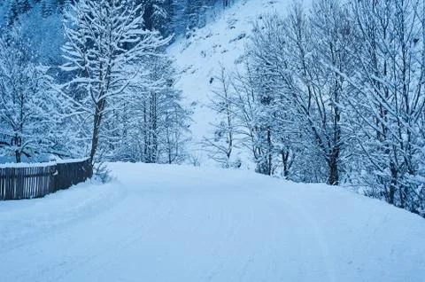 Winter road after the snowfall Stock Photos