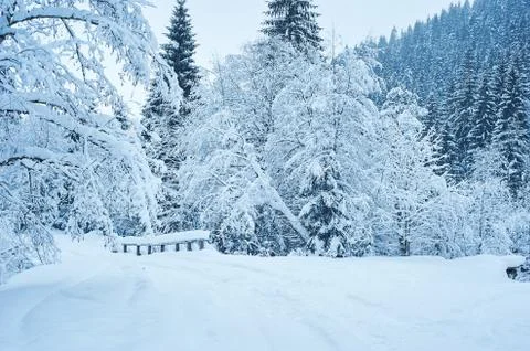 Winter road after the snowfall 스톡 사진