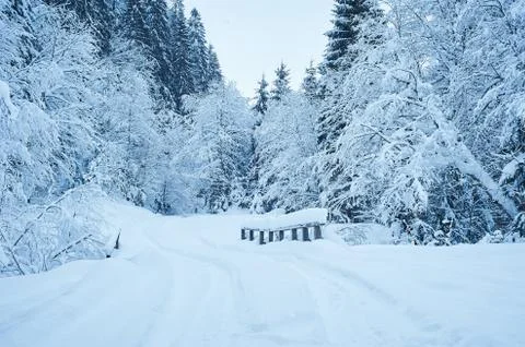 Winter road after the snowfall Stock Photos