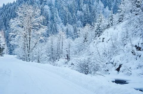 Winter road after the snowfall Stock Photos