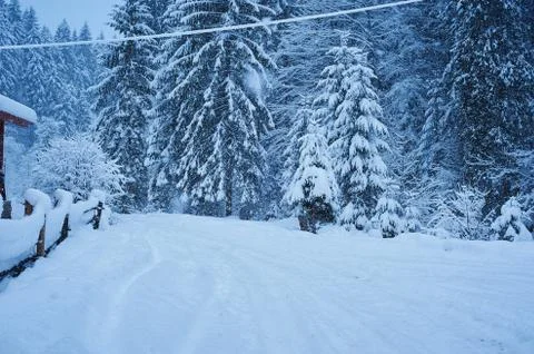 Winter road after the snowfall Stock Photos