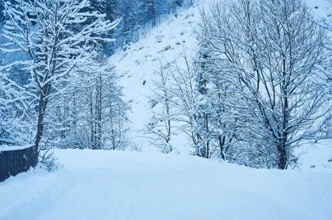 Winter road after the snowfall 写真素材