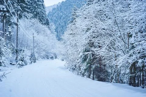 Winter road after the snowfall Stock Photos