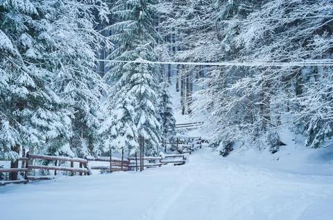 Winter road after the snowfall Stock Photos
