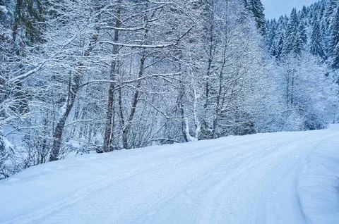 Winter road after the snowfall Stock Photos
