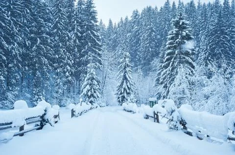 Winter road after the snowfall Stock Photos